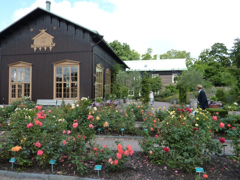 Botanická zahrada,Göteborg3.jpg