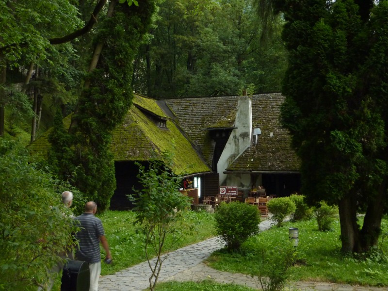 Restaurace.jpg